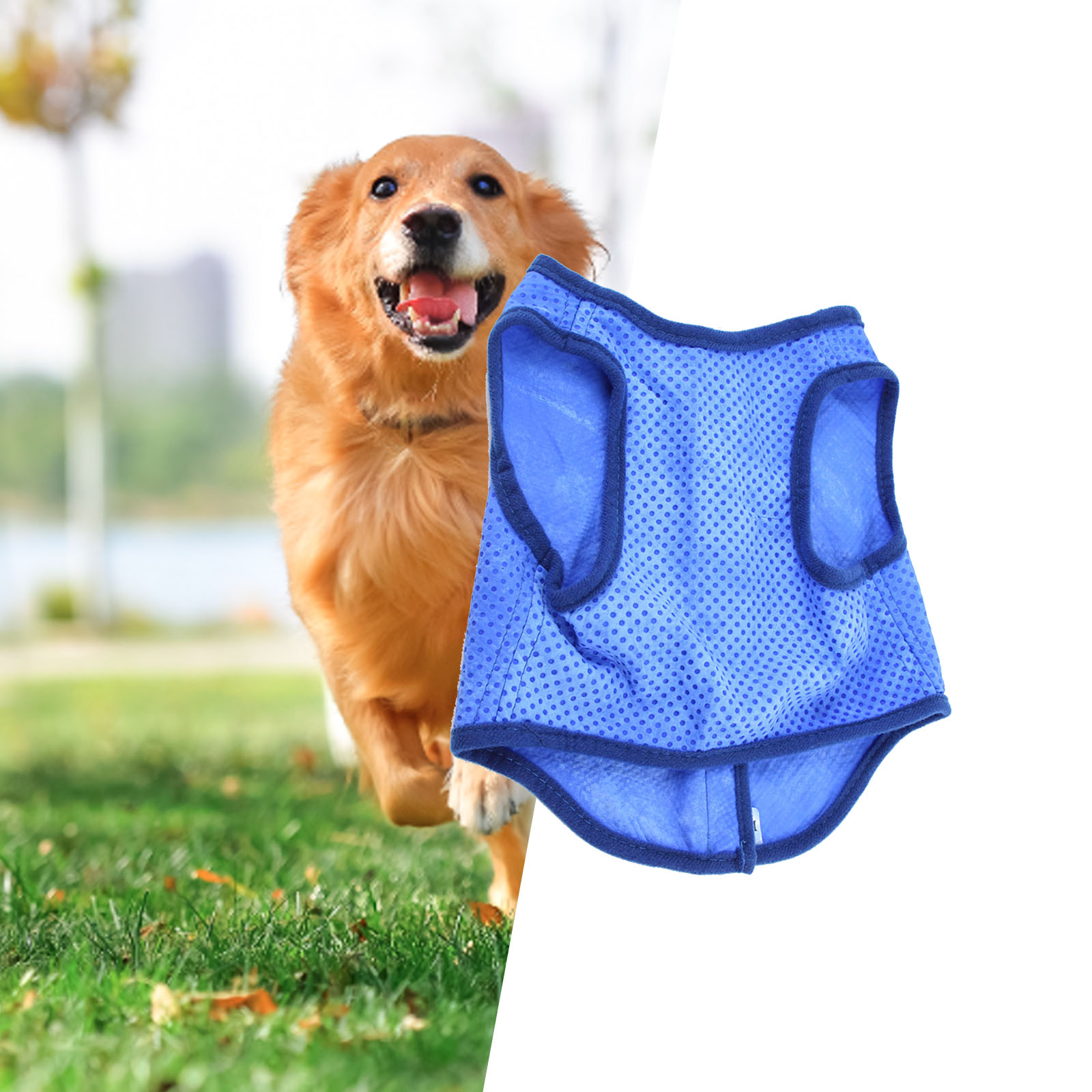 Cão respirável Cooling Vest, P - Outdoor Sport Coat avaliação e preço