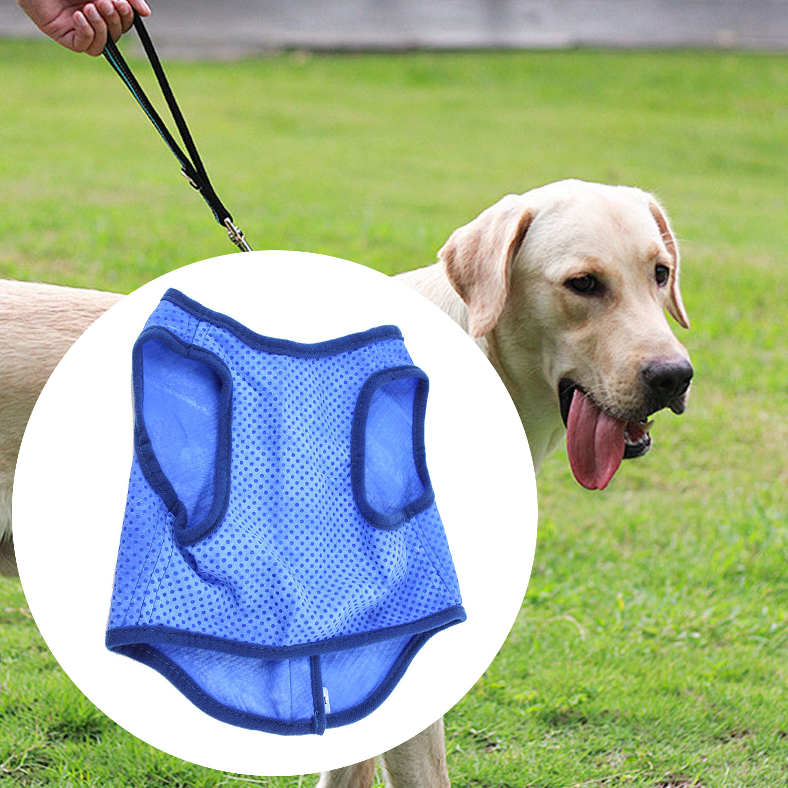 Cão respirável Cooling Vest, P - Outdoor Sport Coat avaliação e preço